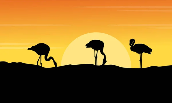 Bij zonsondergang flamingo landschap silhouetten — Stockvector