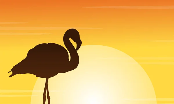 Flamingo ao pôr-do-sol silhuetas cena — Vetor de Stock