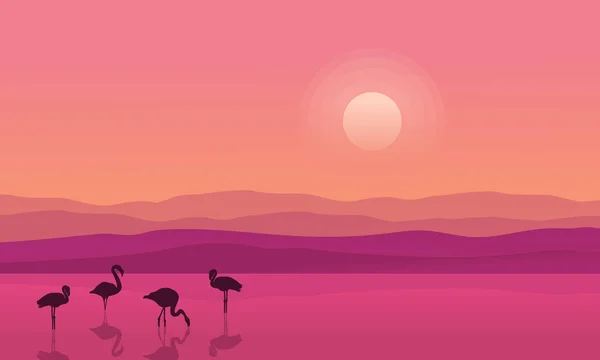 Ao nascer do sol cena lago com silhuetas flamingo — Vetor de Stock