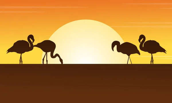 Bij zonsondergang flamingo scène silhouetten — Stockvector