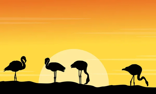 Silhouette des Flamingos bei Sonnenuntergang — Stockvektor