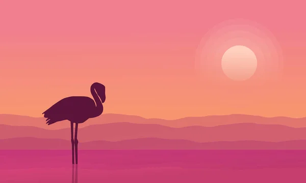 Ao nascer do sol flamingo cena silhuetas — Vetor de Stock