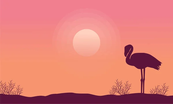 Silhueta flamingo cena coleção estoque — Vetor de Stock