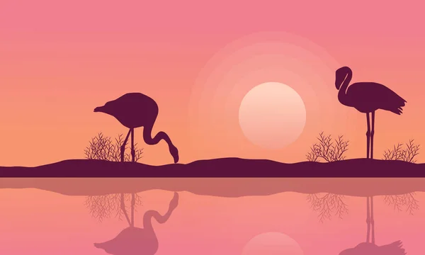 Paisagem do lago com silhueta flamingo — Vetor de Stock