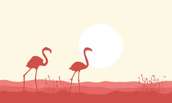 Silhueta de paisagem de beleza de flamingo — Vetor de Stock