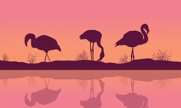 Paisagem ribeirinha com silhuetas flamingo — Vetor de Stock