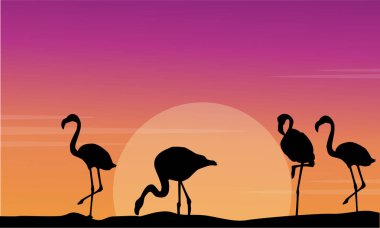 Vektör flamingo siluet olay yerinde günbatımı