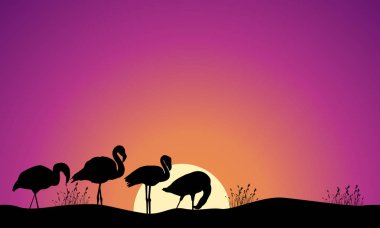 Flamingo sahne siluetleri stokunun koleksiyonu