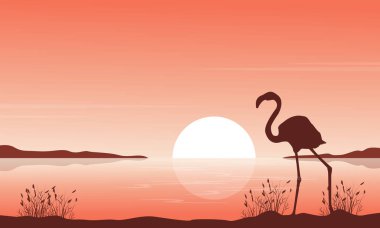 Flamingo Gölü sahne üzerinde silüeti