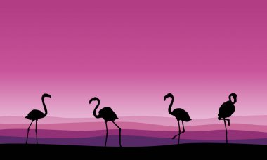 Flamingo aile sahne siluetleri koleksiyonu