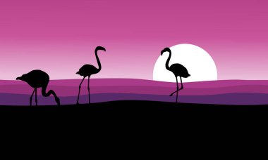 Flamingo pembe arka plan manzara ile