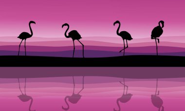 Yansıması ile flamingo sahne siluet