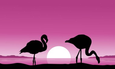 Flamingo nehir sahne siluetleri üzerinde
