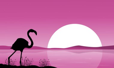 Gün batımında koleksiyonu flamingo sahne