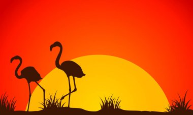 Güzellik manzara Flamingo'da günbatımı siluet