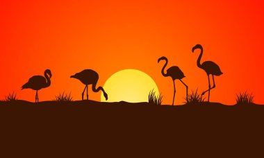 Gün batımı flamingo siluetleri, arka planda turuncu