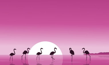 Flamingo Gölü sahne siluetleri üzerinde