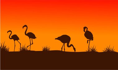 Gün batımı siluetleri Flamingo sahne