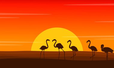 Flamingo olay yerinde günbatımı siluetleri kaplı