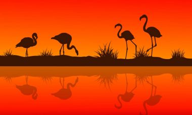 Flamingo siluetleri ile lake sahne topluluğu
