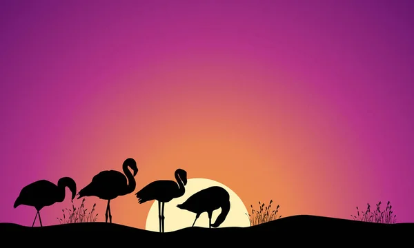 Coleta estoque de silhuetas cena flamingo — Vetor de Stock