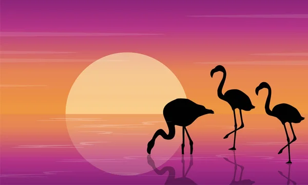 På sjön landskap med flamingo silhuetter — Stock vektor