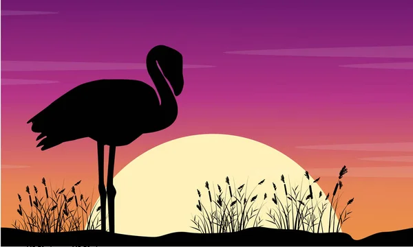 Arte vetorial flamingo cena no sunse silhuetas — Vetor de Stock