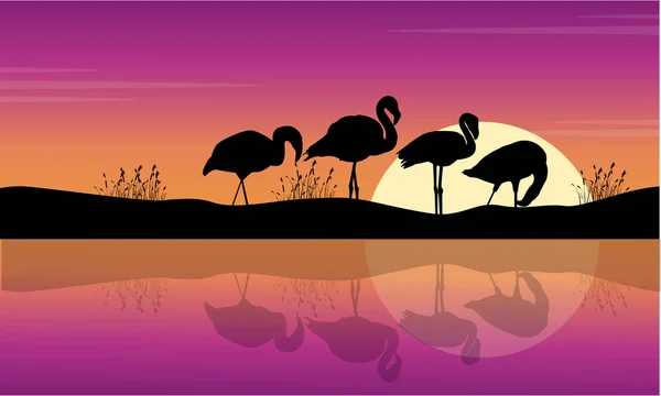 Kolekcja Jezioro sceny z flamingo sylwetki — Wektor stockowy