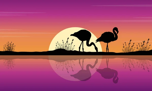 Collection de flamants roses sur les silhouettes de la scène du lac — Image vectorielle