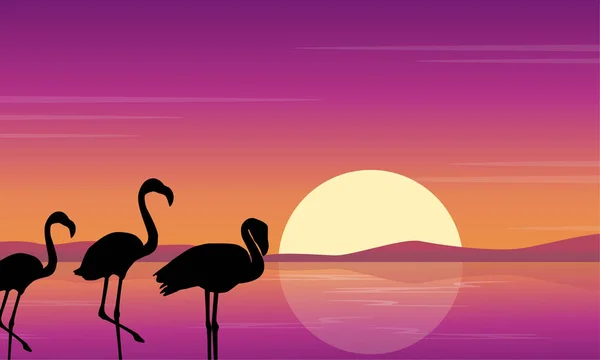 Arte vetorial flamingo silhueta cena ao pôr do sol — Vetor de Stock