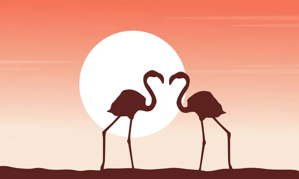 Piękna scena flamingo sylwetki kolekcji — Wektor stockowy