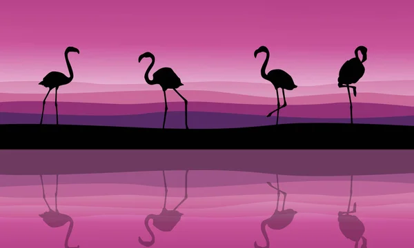 Silhouette of flamingo scenery with reflection — Stock Vector