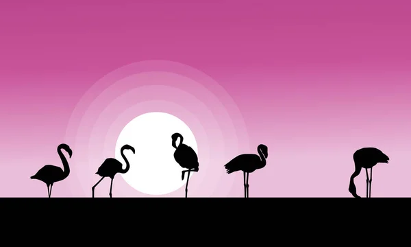 Collection lager av flamingo på sunset scen — Stock vektor