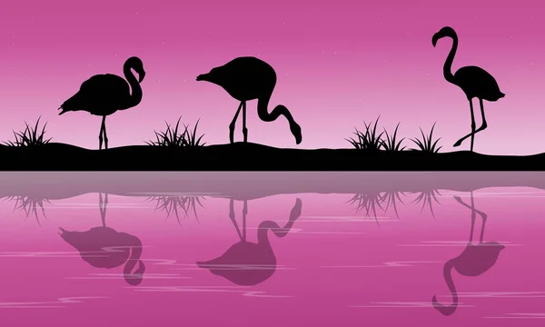 Paisagem do lago silhueta flamingo ao pôr do sol — Vetor de Stock