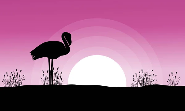 Flamingo ao pôr do sol silhuetas paisagem — Vetor de Stock