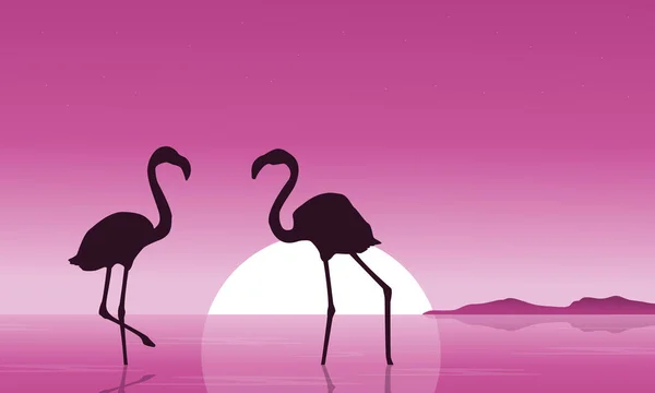 Collectie van flamingo bij zonsondergang decor — Stockvector