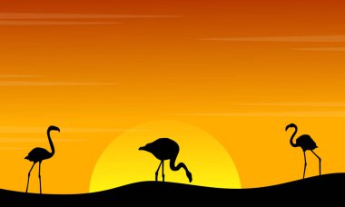 Gün batımında flamingo sahne siluet