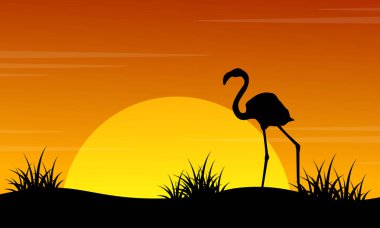 Gün batımı flamingo sahne siluetleri