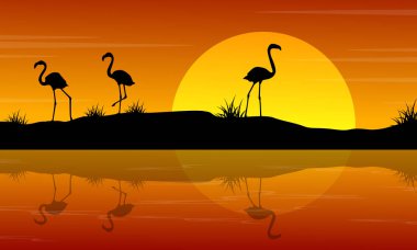 Günbatımı manzara Flamingo'da vektör çizim