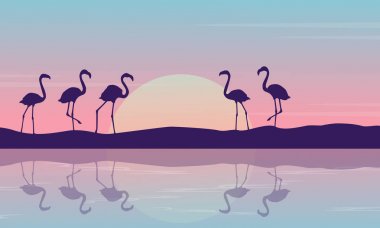 Gündoğumu Flamingo'da nehir manzara
