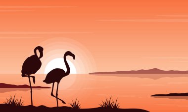 Siluet flamingo üzerinde göl manzara