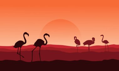 Flamingo üzerinde çöl manzara siluet