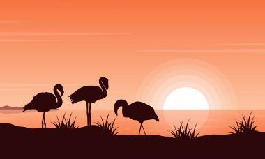 Gün batımında flamingo nehir üzerinde vektör çizim