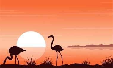 Flamingo siluetleri ile günbatımı sahne