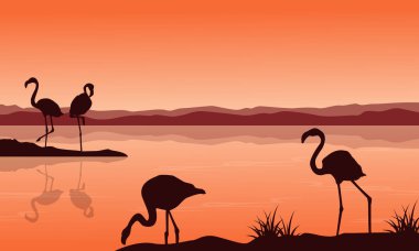 Flamingo üzerinde göl manzara siluet