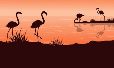 Flamingo siluetleri ile gün batımında sahne