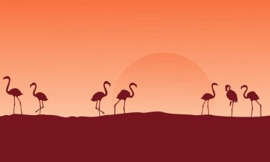 Hill siluetleri Flamingo'da sahne