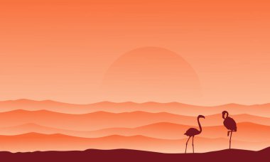 Flamingo siluet manzara ile çöl arka plan