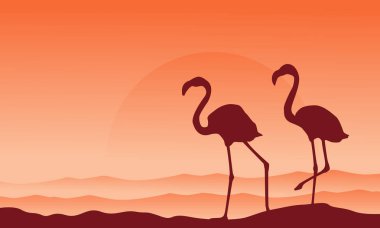 İki flamingo manzara siluet
