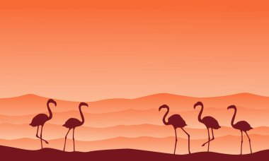 Koleksiyon hill sahne flamingo siluetleri ile